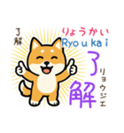 可愛い柴犬（台湾中国語×日本語）（個別スタンプ：21）