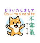 可愛い柴犬（台湾中国語×日本語）（個別スタンプ：22）