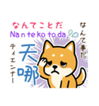 可愛い柴犬（台湾中国語×日本語）（個別スタンプ：23）