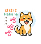 可愛い柴犬（台湾中国語×日本語）（個別スタンプ：25）