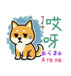 可愛い柴犬（台湾中国語×日本語）（個別スタンプ：26）