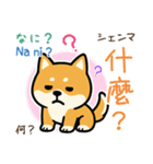 可愛い柴犬（台湾中国語×日本語）（個別スタンプ：30）