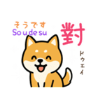 可愛い柴犬（台湾中国語×日本語）（個別スタンプ：31）