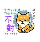 可愛い柴犬（台湾中国語×日本語）（個別スタンプ：32）