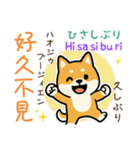 可愛い柴犬（台湾中国語×日本語）（個別スタンプ：33）