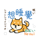 可愛い柴犬（台湾中国語×日本語）（個別スタンプ：35）