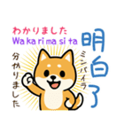 可愛い柴犬（台湾中国語×日本語）（個別スタンプ：38）