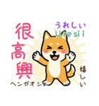 可愛い柴犬（台湾中国語×日本語）（個別スタンプ：40）