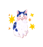 マンクスねこのしずく（個別スタンプ：3）