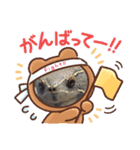 ガメちゃんと家族⭐（個別スタンプ：2）