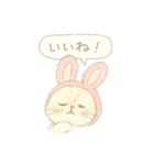 うさ耳ねこのスタンプ（個別スタンプ：1）
