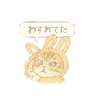 うさ耳ねこのスタンプ（個別スタンプ：2）