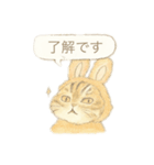 うさ耳ねこのスタンプ（個別スタンプ：7）