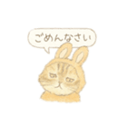 うさ耳ねこのスタンプ（個別スタンプ：8）