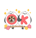 俺とまろのスタンプ（個別スタンプ：2）