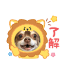 俺とまろのスタンプ（個別スタンプ：5）