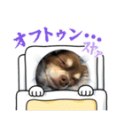 俺とまろのスタンプ（個別スタンプ：9）