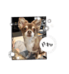 俺とまろのスタンプ（個別スタンプ：12）