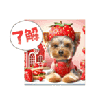 ヨーキーの夏に使えるスタンプ（個別スタンプ：6）