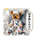 ヨーキーの夏に使えるスタンプ（個別スタンプ：19）