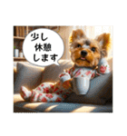 ヨーキーの夏に使えるスタンプ（個別スタンプ：23）