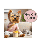 ヨーキーの夏に使えるスタンプ（個別スタンプ：24）
