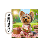 ヨーキーの夏に使えるスタンプ（個別スタンプ：29）