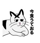 さおみの猫丸出し編（個別スタンプ：3）