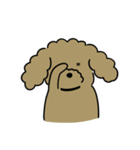 3匹の楽しい犬（個別スタンプ：13）