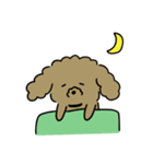 3匹の楽しい犬（個別スタンプ：19）