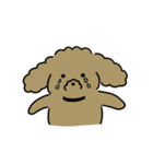 3匹の楽しい犬（個別スタンプ：21）