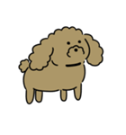 3匹の楽しい犬（個別スタンプ：23）