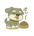 シュナウザーの日常.ソルトver.Previous.（個別スタンプ：32）