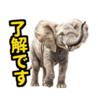 リアル象ミーム3（個別スタンプ：3）