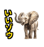 リアル象ミーム3（個別スタンプ：4）