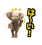リアル象ミーム3（個別スタンプ：6）