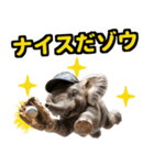 リアル象ミーム3（個別スタンプ：24）