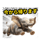 リアル象ミーム3（個別スタンプ：27）