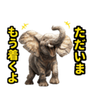 リアル象ミーム3（個別スタンプ：28）