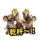 リアル象ミーム3（個別スタンプ：31）