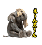 リアル象ミーム3（個別スタンプ：33）