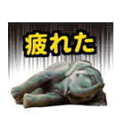 リアル象ミーム3（個別スタンプ：36）