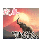 リアル象ミーム3（個別スタンプ：40）