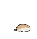 ハムスターの大吉（個別スタンプ：2）