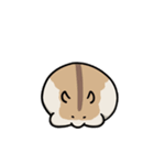 ハムスターの大吉（個別スタンプ：3）