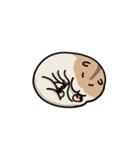 ハムスターの大吉（個別スタンプ：4）