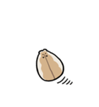 ハムスターの大吉（個別スタンプ：6）