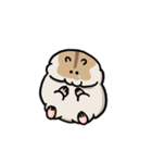 ハムスターの大吉（個別スタンプ：8）