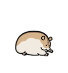 ハムスターの大吉（個別スタンプ：11）