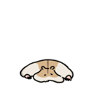 ハムスターの大吉（個別スタンプ：16）